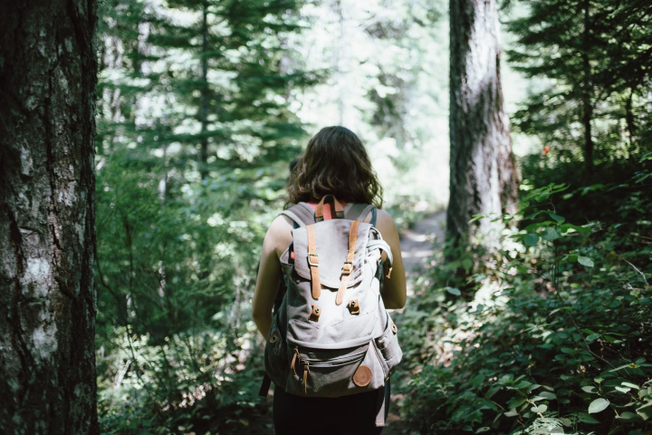 a person standing in front of a forest